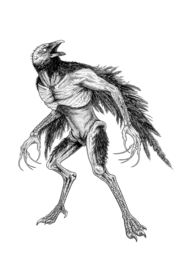Tall, sickly slender humanoids, with crow-like heads. Their bodies and heads are covered in uneven, sparse feathers. Their arms are lined with larger feathers, forming rough wings. On each hang is a long, multi-knuckled index finger, with sharp claw on the end.